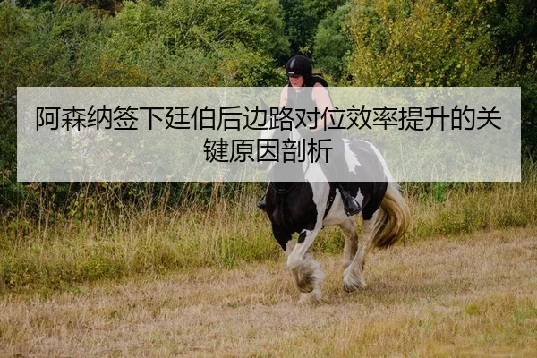 阿森纳签下廷伯后边路对位效率提升的关键原因剖析